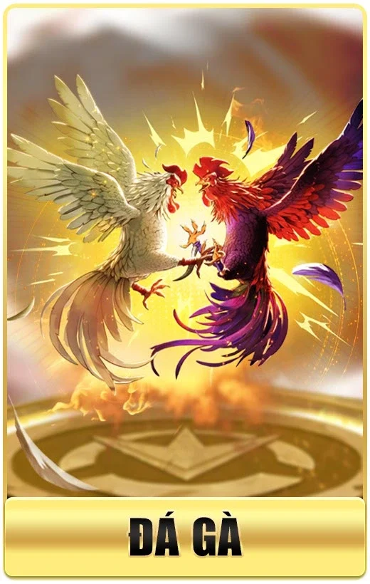 Win55 ⭐️ Link Vào Win55.Com Mới Nhất 2026 | Nhận +155k 34